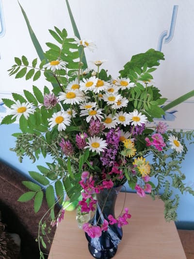 A dark, swirled glass vase holds a vibrant bouquet of wildflowers. The arrangement is dominated by numerous white daisies with bright yellow centers, interspersed with delicate pink clover flowers and clusters of small purple blooms. The foliage is a mix of fern-like leaves and feathery green sprigs. Some of the flowers are drooping slightly, suggesting they may have been recently picked. The vase rests on a light brown wooden surface, likely a table. In the background, a white wall with a subtle blue pattern is visible. The lighting appears to be natural, possibly from a window, casting soft shadows. The overall impression is one of a charming, rustic display of nature's bounty.