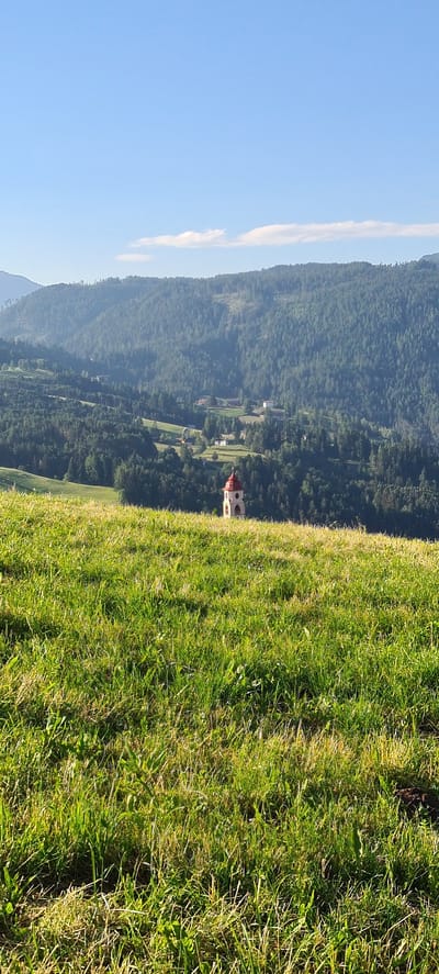 The image captures a tranquil rural landscape with a clear blue sky overhead. In the foreground, a lush green meadow slopes upwards, with tall grass catching the sunlight. In the middle ground, a small, white tower with a red roof, likely a church spire, stands prominently amidst a cluster of trees and scattered houses. This settlement is nestled within a valley, with rolling hills covered in dense green forest rising behind it. The overall scene depicts a peaceful, scenic view of the countryside in or near Deutschnofen - Nova Ponente, Italy.
