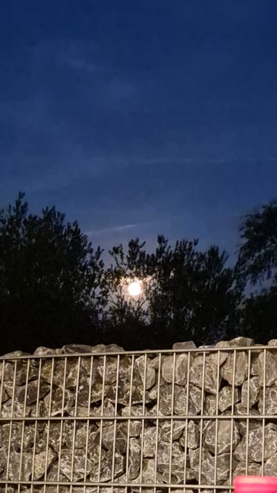 The image depicts a night scene featuring a bright, full moon partially obscured by the silhouettes of trees. In the foreground, a gabion wall, constructed of wire mesh filled with stones, stands prominently. The wall is topped by foliage, with the moon visible through gaps in the branches. The sky is dark blue with some wispy clouds. The location is identified as Dissen am Teutoburger Wald, Germany.