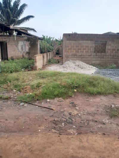 The scene depicts a semi-urban or rural environment in Ifo, Nigeria, characterized by undeveloped land and ongoing construction. In the foreground, a reddish-brown dirt path extends from bottom to mid-frame, displaying scattered debris including plastic fragments and a horizontal wooden stick. Patches of green and dry grass are interspersed on either side of the path.
To the left, a single-story, dilapidated concrete or mud-brick structure stands. It features an exposed, partially collapsed corrugated metal roof revealing wooden rafters, and a window with weathered wooden shutters. A large palm tree extends over this building. Between this structure and the center, dense green shrubbery and banana trees are visible, bordering a low, unpainted concrete block wall that extends into the background. A black fowl (chicken) is partially visible on the ground behind this wall.
To the right, an unfinished single-story building constructed from grey concrete blocks features an open rectangular cutout where a window will be installed. This structure lacks a roof. In front of it, two distinct piles of construction materials are present: a large mound of light grey sand and a smaller pile of dark grey gravel. The background reveals additional vegetation and a light, overcast sky. No human figures are present.
