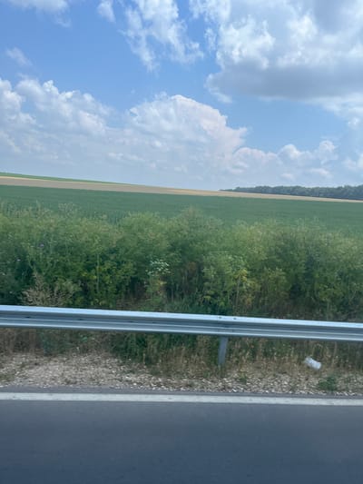 A wide, eye-level shot captures a scenic view of rolling agricultural fields under a bright blue sky dotted with fluffy white clouds. The foreground features a grey metal guardrail positioned above a narrow gravel shoulder and a paved road. Beyond the guardrail, lush green vegetation and taller plants with scattered purple flowers are visible. Further back, vast fields of crops stretch across the landscape, divided by distinct lines of color. The fields transition from a rich green to a lighter, golden-brown hue, with a dark green line of trees marking the horizon. The image appears to be taken from a moving vehicle, given the slight blur in the vegetation and the perspective of the road. The overall impression is one of a rural, pastoral landscape on a clear, sunny day. The location is stated to be in the city of Stefanovo, Bulgaria.
