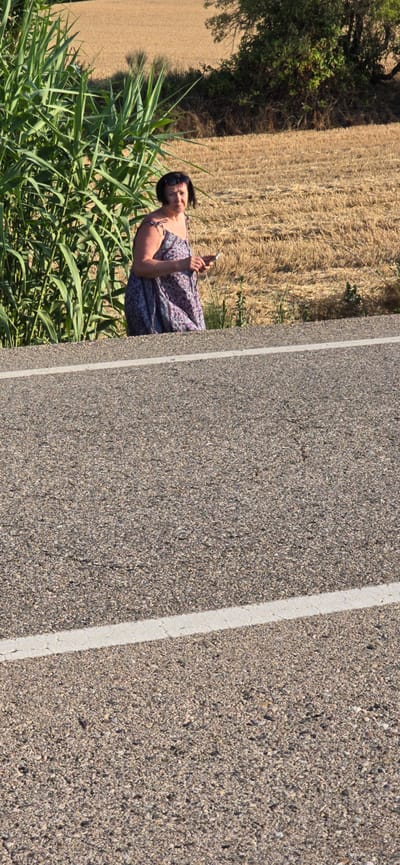 The image depicts a woman standing next to a paved road, with a harvested field of dry grass on her left and a dense patch of tall green plants on her right. The woman is wearing a patterned dress and sunglasses, and is holding a smartphone. She is looking down at the phone, and appears to be engrossed in it. The sun is shining brightly, casting shadows on the ground, suggesting it is daytime. The overall scene appears to be rural, possibly in a Mediterranean climate given the dry field and the presence of what looks like solar panels in the distance. The woman's posture and focused gaze suggest she is engaged in using her phone, possibly for communication or entertainment. The image has a vertical orientation.