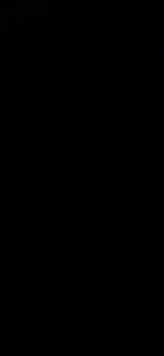 The image is uniformly black. It lacks any discernible features, details, or variation in color. The monochromatic darkness fills the entire frame, offering no discernible subject matter.