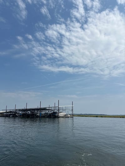 This image depicts a marine environment, identified as being located in Montgomery, United States. The scene features a long, multi-slip covered boat dock extending horizontally across the midground, supported by numerous dark vertical pillars. Multiple recreational boats are moored within the dock's slips, with at least one white pontoon boat clearly visible on the far right end. The foreground consists of dark blue-green water exhibiting minor surface ripples and a slight wake in the lower-center, indicating motion from the observer's vantage point. Beyond the dock to the right, a low-lying landmass or shoreline is visible, covered with green vegetation. The sky above is clear blue with scattered white altocumulus and cirrus clouds. A distinct, straight white contrail from an aircraft is present diagonally in the upper left quadrant of the sky. No individuals are visible, and no active interactions are depicted.
