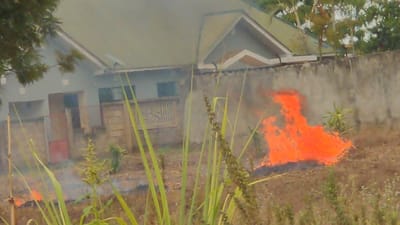 This image depicts an outdoor scene in Longuo 'A', Tanzania, characterized by an active vegetation fire. In the foreground, tall, light green grasses and other plants with developing seed heads partially obscure the view. The midground features a prominent fire with bright orange and red flames consuming dry ground vegetation, located adjacent to a grey concrete perimeter wall. A smaller, smoking fire is visible further left within the midground. Beyond the wall, a light-colored (possibly light blue or grey) single-story building with a green sloped roof is visible in the background. The building features multiple windows and a front entrance with a reddish gate. Green foliage and trees are present above and behind the building and the concrete wall. No individuals are visible. Smoke permeates the atmosphere, indicating ongoing combustion.