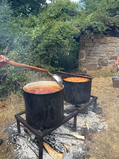 The image depicts an outdoor cooking scene in Manaselska Reka, Bulgaria, with two large black pots suspended over a wood fire. The left pot contains a reddish stew, and a ladle is being used to stir it. The right pot holds a orange-colored stew. In the background, a stone structure with a weathered roof is visible, partially obscured by dense green foliage. The ground is covered with dry grass and the remnants of a fire, including ashes and scattered logs. A hand is visible on the ladle, and another person's arm and legs are partially visible on the right side of the frame. A metal bucket sits near the stone structure. The scene suggests a communal or outdoor cooking event.