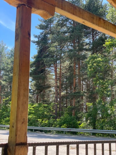 The image shows a view of a pine forest and a road, taken from behind a wooden structure. The wooden structure, which appears to be a porch or gazebo, is in the foreground on the left side of the image, with a wooden beam spanning across the top. The forest is dense with tall pine trees and some deciduous trees. A road with a metal guardrail runs along the edge of the forest. The sky is clear and blue. Based on the image, the scene is likely located in a rural or natural setting, such as a park or a forest reserve, within or near the city of Valkosel, Bulgaria.