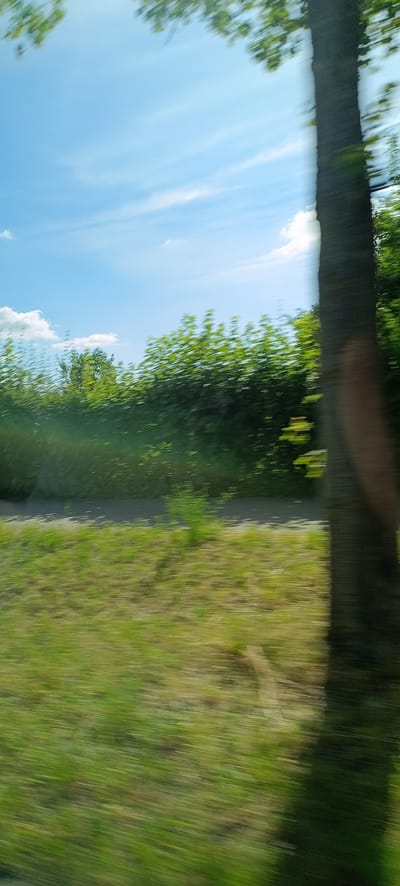 The image depicts a blurred, motion-filled view of a roadside scene, likely captured from a moving vehicle. The foreground is dominated by streaks of green and yellow, representing grass and possibly foliage, indicating significant motion blur. A dark, vertical band on the right side of the image is a tree trunk, also blurred. Beyond the grass, a dark grey strip, presumably a road or path, is visible, with some indistinct green vegetation along its edges. Further in the background, a dense line of green foliage, representing bushes or trees, stretches across the frame, heavily blurred by motion. Above the foliage, a bright blue sky with scattered white clouds is visible. The overall impression is that of a passing landscape, likely during daytime due to the bright sky and sunlight illuminating the scene.
There is no specific information within the image that would allow for the precise localization to Fellbach, Germany. The scene is generic and could be found in many similar environments.