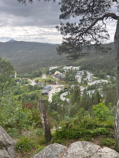 This image, taken from a high vantage point overlooking a forested mountainside, captures a scenic view near Jørpeland, Norway. The scene is dominated by lush green trees and rugged grey rocks in the foreground, with a distant mountain range shrouded in mist under a cloudy sky.

Below, nestled amongst the trees, is a small settlement with several buildings, a winding road, and a parking area filled with numerous vehicles, including cars and what appear to be buses or campervans. The architecture of the buildings suggests a functional, possibly tourist-oriented, destination. A prominent feature is a cable car system extending towards the viewer's vantage point, hinting at recreational activities or access to higher elevations.

The time of day is likely overcast afternoon, given the diffused light and cloudy sky. The weather appears to be cool and possibly damp, with the mist contributing to a slightly somber but majestic atmosphere. The overall impression is one of a natural landscape integrated with human infrastructure, likely a popular spot for outdoor enthusiasts or visitors seeking panoramic views. No visible text is present in the image.