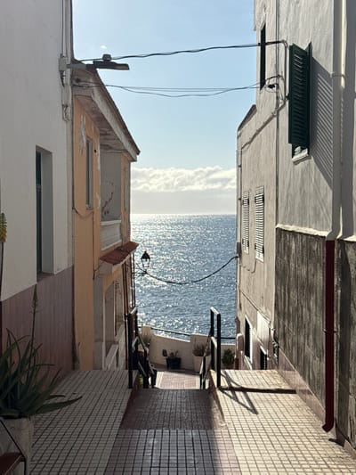 The image displays a narrow, tiled pedestrian alleyway descending towards the Atlantic Ocean in Puerto de Santiago, Spain. The scene is illuminated by strong sunlight, creating sparkling reflections on the blue water and casting pronounced shadows from buildings and black metal railings onto the light-colored, stepped pavement. On the left, a white building with a brown tiled base and a green-framed window adjoins an older, peach-colored structure featuring a small balcony, a red-tiled overhang, and a vintage black street lamp. The right side is defined by a light grey building with a dark green louvered shutter on an upper window, two lower white louvered shutters, and a red vertical downspout. Overhead electrical wires traverse the clear blue sky, which features a band of white clouds above the distant horizon. A large green succulent in a grey planter is positioned on the lower left. On a lower terrace area visible through the railings, a single individual in dark clothing is seated on a low wall amidst other potted plants.
