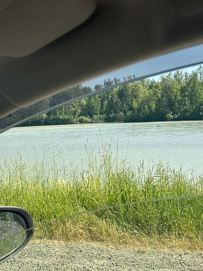A serene, sun-drenched scene unfolds along the bank of a wide, tranquil river, likely the Lena River in Yakutia, Russia, as suggested by the lush boreal forest lining its opposite shore. The water, a pale, milky blue, gently ripples, reflecting the soft light of a clear day.
In the foreground, a dense growth of vibrant green grass and reeds lines the riverbank, their stalks reaching upwards, some tipped with feathery seed heads. Amongst them, drier, straw-colored grasses hint at the warmer season. The ground here is a mixture of small, grey pebbles and coarser gravel, indicative of a roadside or path.
Partially visible on the lower left is the curved reflection of a car's side mirror, its surface catching a glimpse of the gravelly ground and the surrounding greenery. Above, the dark, curved interior of a car's roofliner creates a frame, with the distant treeline and water visible through the windshield. The overall impression is one of peaceful, natural beauty, observed from the comfort of a moving vehicle.