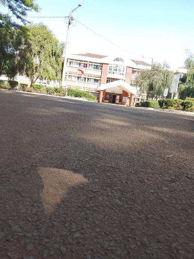 The image captures a low-angle perspective of an asphalt road receding towards a multi-story building within Kikuyu Township ward, Kenya. The foreground is dominated by the dark, granular texture of the asphalt pavement, featuring a prominent, irregular light-colored patch on the lower left. To the left, a tall utility pole supporting a street light extends upwards against a clear, bright blue sky.

The midground and background reveal a substantial institutional-style building, approximately three to four stories high, characterized by a light-colored facade with numerous rectangular, white-framed windows. Red-brick accents are visible, particularly around the central entrance. This entrance features a prominent, gabled portico supported by pillars, with a darker wooden double door recessed beneath it. An emblem or sign is affixed to the wall above the portico. A red and white flag is visible hanging from an upper-story window or pole on the building's left side. A large, arched window structure is present on the upper-center facade.

The building is flanked by lush green landscaping, including neatly trimmed hedges lining the road and several mature trees with dense foliage, particularly on the left. Two large, rectangular white signboards are partially visible on the far right, behind the trees. The scene is brightly illuminated by direct sunlight, casting distinct shadows on the road. No individuals are present in the frame.