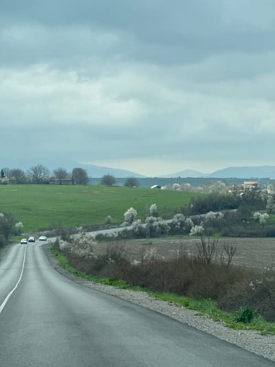 The image shows a winding asphalt road bordered by a gravel edge and sparse vegetation. Adjacent to the road is a field of green grass, lined with trees and blossoming white flowers. In the distance, rolling hills are visible under a cloudy sky. A building with a red roof is also visible in the distance. Three cars are traveling on the road. The location appears to be in a rural area. I have no information to determine that this is the city of Probuda in Bulgaria.