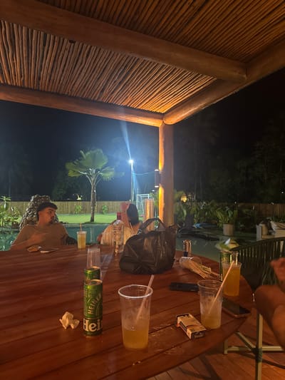 An outdoor setting at night features a wooden table with various drinks, including cups with straws, cans of Heineken, and a liquor bottle. Two people sit at the table, with the side of a woven structure visible on the left. In the background, a palm tree and greenery are illuminated by a bright light, suggesting a garden or outdoor space.