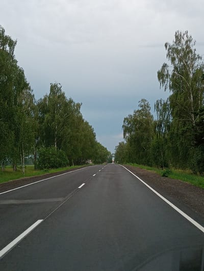 The media file displays a road lined with trees and lush green foliage. The road itself is asphalt and features white lane markings. The trees, predominantly birches with their characteristic white bark, form a dense, green canopy along the side of the road. The sky is overcast and appears to be a pale blue with some clouds. The overall scene suggests an outdoor setting, likely a rural road in Belarus, given the location context. The image is oriented sideways. There are no people or specific objects that stand out, beyond the natural elements of the road and trees. The weather appears to be temperate, possibly during daytime, with diffused light due to the cloud cover. There is no visible text in the image.