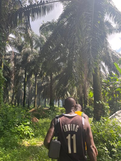 The image captures two individuals walking through a vibrant palm oil plantation in Aghalokpe, Nigeria, on a bright, sunny day. The scene is dominated by numerous tall palm trees with dark green fronds, appearing to be arranged in rows, indicative of a cultivated plantation. Sunlight filters through the dense canopy, creating bright highlights on the leaves and illuminating parts of the undergrowth.

In the foreground, an individual is seen from behind, wearing a dark brown sleeveless jersey. The back of the jersey clearly displays the name "IRVING" and the number "11" in white text. A black, rectangular device is strapped to the person's right side. Slightly behind and to the left, another person is partially visible, also viewed from the back, wearing a yellow or green top.

The ground and the sides of the path are covered in rich, lush green undergrowth, with various plants and vines adding to the dense tropical environment. Patches of bright sky are visible through the gaps in the tree canopy, confirming it is daytime with clear weather. The overall impression is one of activity within a verdant, agricultural landscape typical of palm oil production.