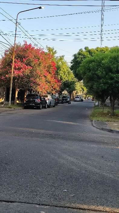 The image depicts a residential street in Caseros, Argentina, under a clear blue sky, likely during morning or late afternoon due to visible long shadows. The asphalt road, dark gray and showing minor wear, extends into the distance. On the left side, a row of parked vehicles includes a dark-colored hatchback, a silver sedan, and several other less distinct cars. Behind these vehicles, a large tree with vibrant pink/red blossoms stands prominently, alongside other green-leafed trees. A dark street light pole with an operational LED fixture rises on the left, supporting multiple overhead power lines that traverse the upper portion of the frame. On the right side, a dirt and grass sidewalk is bordered by mature green-leafed trees. Further down the street, a dark pickup truck and a light-colored pickup truck/SUV are visible. No people are present or visible in the scene. The environment appears calm and static.