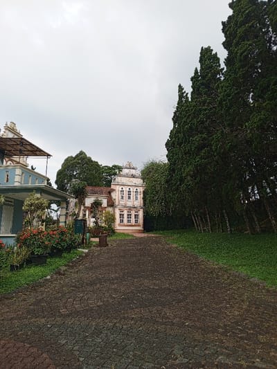The image depicts an exterior scene in Weintiapa, Liberia, featuring a paved pathway leading towards multiple ornate buildings under an overcast sky. In the foreground, a dark-colored, textured pathway, possibly asphalt or cobblestone, extends from the bottom of the frame towards the midground. It is bordered on both sides by green grass and low-lying vegetation.

On the left side of the midground, a light blue building with white trim and a white door is partially visible. An elevated structure with a dark metal frame and a roof extends from this building, forming a covered patio or porch. Below this structure, a dense cluster of red flowering bushes, other green plants, and potted vegetation are arranged. A dark green utility box and a small brown cylindrical planter are positioned near the edge of the pathway in this area.

Further along the path, centrally located, stands a two-story building with a light cream or beige facade. This building features multiple rectangular windows with white frames and sills, and a distinctive ornate gabled roofline with decorative elements. A smaller, older-looking building with a reddish-brown roof is partially visible behind and to the left of this prominent structure.

On the right side of the midground, a dense row of tall, dark green evergreen trees, possibly cypress, forms a natural barrier, extending into the background. Several of these trees exhibit a slight inward lean towards the pathway. The ground beneath these trees is covered in green grass.

The background consists of additional dense green foliage and trees, receding into the distance. The sky above is uniformly light gray and completely overcast, indicating a cloudy day. No individuals, specific actions, or interactions are present in the scene.