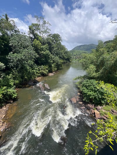 A wide-angle, high-angle shot captures a powerful river flowing through a lush, tropical landscape in Panangala Dhahe kade, Sri Lanka. The river, a murky green, churns with white rapids in the foreground, crashing against dark, wet rocks that line its banks. Dense, verdant foliage, characteristic of a rainforest, crowds the river's edges, with tall trees reaching towards a sky dotted with dramatic white clouds against a bright blue expanse. In the distance, rolling, tree-covered hills form a majestic backdrop. The scene is one of natural beauty and untamed power, conveying the essence of a wild river in its natural habitat.