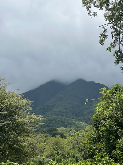 This is a vertical, eye-level, medium shot of a misty mountain landscape seen through foreground foliage. The mountain is covered in lush green trees and its peaks are partially obscured by clouds. The sky is overcast and grey. The foreground is filled with the dense green leaves and branches of trees framing the view. The image appears to be taken from a high vantage point, looking out over a valley towards the distant mountain range. No people, animals, or man-made structures are visible in the frame. The scene suggests a natural, tropical environment. It is possible this is a view from Altagracia, Nicaragua, a city known for its proximity to Mombacho volcano, which is characterized by cloud-shrouded peaks.
