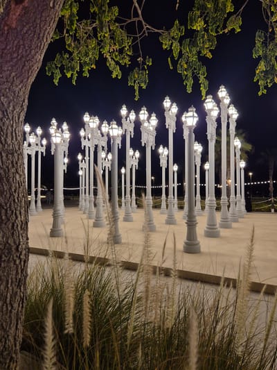 The image depicts an outdoor installation of numerous white lampposts at night, with a tree trunk and foliage in the foreground. The lampposts are arranged in a structured, grid-like pattern, each topped with a glowing light. The ground appears to be a paved surface, and there is dry grass in the lower portion of the frame. In the background, faint lights suggest a wider area. The scene is illuminated by the lampposts themselves, casting a warm glow against the dark night sky. The overall impression is of an artistic display or public space designed for evening illumination.
The location is identified as the Lamppost installation at Fujairah Corniche, Fujairah, United Arab Emirates.