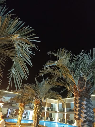 The image depicts a nighttime view of a resort or hotel complex, possibly in Sorbulak, Kazakhstan. In the foreground, several palm trees with fronds illuminated by artificial lighting are prominent. The trees are decorated with strings of small lights. Behind the trees, a building with multiple stories is visible. The building features balconies with railings and numerous windows, many of which are lit from within. A swimming pool with blue water is situated in front of the building. The overall atmosphere suggests a tropical or vacation setting, despite the indication of a specific location.