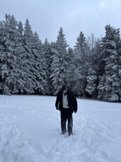 In Le Hohwald, France, a solitary individual stands in a snow-covered field. The background is characterized by a dense forest of coniferous trees heavily laden with white snow and frost, beneath an overcast grey sky. The person, dressed in a dark winter jacket over a light-colored collared shirt, dark trousers, dark gloves, and a dark beanie with a white marking, is observed looking downwards. Their lower legs are partially submerged in the deep snow, which shows depressions indicative of movement around them.