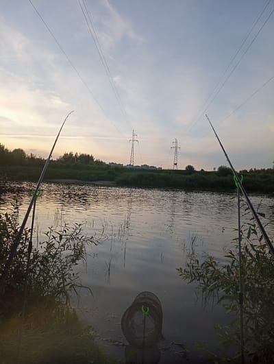 The image depicts a tranquil riverbank scene at dusk in the vicinity of Палыкавіцкі сельскі Савет, Belarus. Two fishing rods are set up, one on the left foreground and another on the right foreground, angled towards the water. A fishing net lies on the muddy bank between the two rods. The river, reflecting the soft hues of the twilight sky, is calm with visible ripples and some aquatic vegetation. In the background, a dense line of green trees and shrubs forms the opposite bank, beyond which are visible apartment buildings and industrial pylons with power lines stretching across the sky. The sky itself is a pale blue with wispy clouds, transitioning into warmer tones near the horizon. The overall atmosphere is serene and quiet, suggestive of a fishing excursion during the early evening.