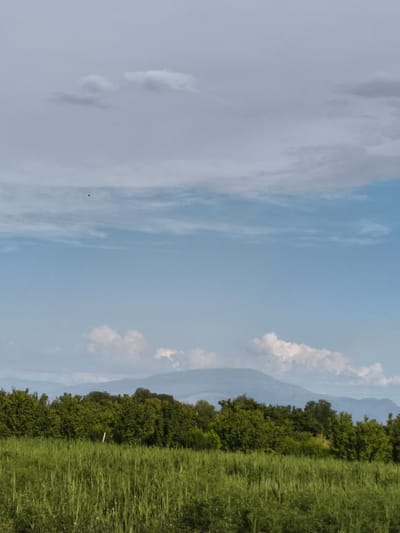 The image depicts a rural landscape under a partly cloudy sky. In the foreground, a lush green field of tall grass stretches across the frame. Behind the field, a dense line of trees forms a dark green barrier, separating the field from the distant background. Beyond the trees, hazy blue mountains rise, their outlines softened by the atmospheric perspective. The sky above is a mix of light blue and gray clouds, with a few scattered white cumulus clouds adding texture. A single, small dark object, possibly a bird or insect, is visible in the upper left quadrant of the sky. The overall impression is one of natural beauty and tranquility in a rural setting. The image does not contain any specific landmarks or indicators that would pinpoint its location to the city of Berkanush, Armenia.