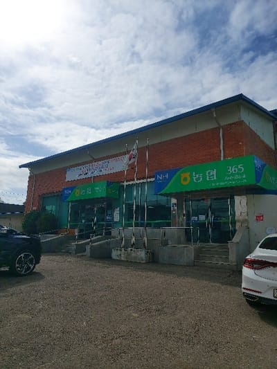 The image displays the exterior of a Nonghyup Bank branch located in 강화군, South Korea. The single-story building features an upper section constructed with red brick and a lower section composed of green-tinted glass windows and doors. A blue roofline borders the top of the structure. Two green awnings, displaying the "NH 농협" logo and "365 Auto Bank," are prominent over the entrances. A white banner with Korean text is suspended above the main entrance, which is accessed via steps with metal railings. Four flagpoles are positioned in front of the building, one flying the South Korean national flag. The foreground is a dark, paved or gravel parking area. The front left portion of a dark-colored SUV is visible on the left, and the rear right portion of a white sedan is visible on the right. The scene is observed under a bright sky with scattered white clouds. No individuals are present in the image.