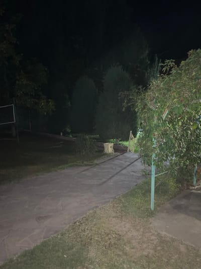 The image depicts a pathway leading through a dimly lit, outdoor area at night. The pathway appears to be constructed of flagstone or similarly shaped paving stones, laid out in an irregular pattern. To the left of the pathway, there is a patch of grass and further back, a dark area with trees and foliage. A white rectangular frame is visible in the far left background. To the right of the pathway, there is more grass and a large bush or tree with green leaves and small clusters of light-colored berries. A teal-colored metal structure, possibly a fence or support, is partially visible in the right foreground, intertwined with the foliage. In the middle ground, a light-colored waste bin or container sits beside the pathway. Beyond the bin, there is a decorative metal gate and more trees. The overall impression is of a park or garden area at night, with artificial lighting casting shadows and illuminating certain elements. The location is identified as Mashat, Kazakhstan.