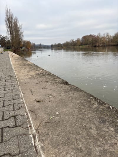 This image depicts a riverine landscape in Bech-Kleinmacher, Luxembourg, under an overcast sky. The foreground features a grey interlocking paver pathway on the left, bordered by a concrete embankment that separates it from a wide river on the right. The concrete surface of the embankment is weathered and scattered with small twigs, dried leaves, and debris. The river water is greyish-green, showing minor ripples and occasional patches of white foam. Several ducks are observed swimming in the river. Along the near bank, beyond the pathway, tall, bare deciduous trees with upward-reaching branches are prominent. The opposite bank is lined with a dense row of deciduous trees, many of which appear bare or have sparse, brownish foliage, indicating an autumn or winter season. The horizon in the background shows distant tree-covered land under a uniformly grey sky. No human figures are distinctly visible.