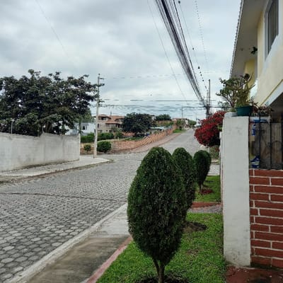 A view from a sidewalk looking down a street. A house is visible on the left, with a brick structure on the right. The sidewalk is paved and lined with greenery. In the distance, the street leads towards water and a hazy skyline. Wires stretch overhead, adding to the urban landscape. The scene captures a quiet, residential neighborhood with a glimpse of a distant waterfront.