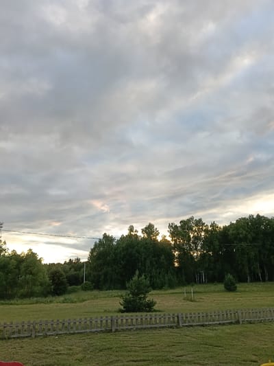 The image depicts an outdoor scene in Smolino, Russia, likely during the late afternoon or early evening, given the soft, diffused light and the hazy sky. The sky is filled with a variety of clouds, ranging from light gray to darker, more textured formations, with hints of warm light filtering through the gaps, suggesting the sun is low on the horizon.

The foreground features a weathered wooden fence, constructed from vertical planks, stretching horizontally across the frame. Beyond the fence, a green, mown lawn is visible, with some areas showing stubble from recent cutting, indicating agricultural or park maintenance. Further back, a line of dense green trees forms a natural boundary. These trees are a mix of deciduous and possibly some coniferous varieties.

In the middle ground, a small, lone pine tree stands in the open field. To the right, a more expansive forest begins, with sunlight catching the tops of some of the trees, creating a luminous effect. The forest is deep and dark in some areas, with lighter patches where the sun breaks through. A white pole, possibly a utility pole or marker, is visible within the treeline on the right side. In the distance, the landscape appears to be rolling or slightly hilly, with more trees and vegetation.

There are no people or specific objects of human activity clearly visible in the frame, except for the fence and the utility pole. The overall mood is tranquil and natural, with a sense of quiet solitude. The weather appears overcast but pleasant, with no indication of rain. The location cues, such as the type of vegetation and the style of the fence, are consistent with a rural or semi-rural setting in Russia. There is no visible text in the image.