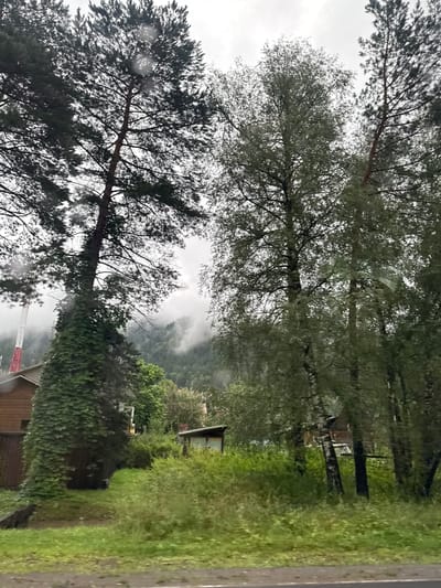 The image captures a view from a moving vehicle in the city of Katun, Russia. The foreground features a blurry grey road with a darker strip suggesting wetness or an edge. Beyond the road is a grassy area with some overgrowth. In the midground, a variety of trees are prominent, including tall pines and lighter-leaved trees, some of which appear to be birches with distinctive bark. A house with a wooden facade and a dark door is visible on the left, partially obscured by a large tree covered in dense green ivy. A red and white tower with antennas stands behind the ivy-covered tree. Further back, a landscape of rolling hills covered in dense green forest rises into a cloudy, misty sky. Several small structures, possibly outbuildings or sheds, are scattered amongst the vegetation. The overall impression is of a rural or semi-rural setting with a focus on nature and some human habitation, under an overcast or foggy sky.