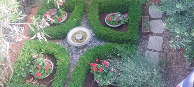 This is an overhead, medium shot of a garden in Vitry-sur-Seine, France. The garden features several planters with red and pink flowers, some of which are in pots and others are planted directly into the ground. The garden is bordered by neatly trimmed green hedges, creating a maze-like pattern. In the center of the garden is a stone birdbath filled with water, with a few pink petals floating on the surface. Stone pavers are visible in the upper right section of the image, leading through the garden. There is also a thin, dry, branch-like object in the upper left quadrant of the image. A potted plant with a small red flower is visible in the upper right corner. A lavender plant is in the lower right corner. The ground is covered with mulch and small dark grey stones. The scene appears to be outdoors during the daytime, with natural light. No people or animals are visible.