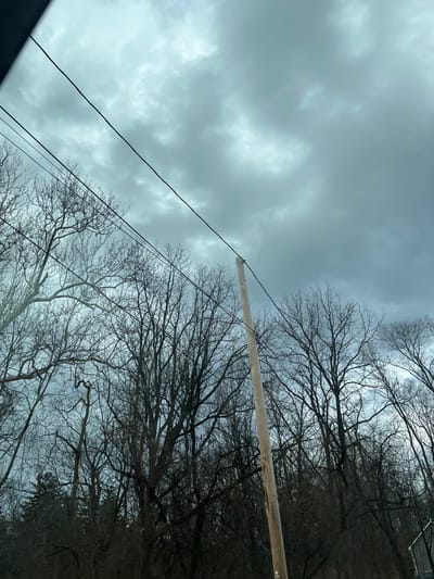 The image captures an outdoor scene in the Town of New Windsor, United States of America, under an overcast sky. The upper two-thirds of the frame are dominated by a dense canopy of mottled grey clouds with varying shades, indicating a heavily clouded sky. Below this, a dense collection of deciduous trees, completely bare of leaves, occupies the lower portion of the image, their dark, intricate branches silhouetted against the lighter sky. A single light-colored wooden utility pole stands vertically on the right side, extending from near the bottom edge upwards. Two thin, dark utility wires stretch horizontally across the middle of the frame; one is attached to the upper section of the utility pole, while another runs parallel below it. A dark, angular structure is partially visible in the extreme upper left corner, suggesting the photograph was taken from inside a vehicle. No individuals, animals, or distinct actions are present in the scene.