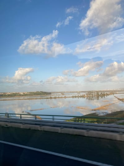 The image depicts an expansive, partially flooded agricultural landscape in the vicinity of Soure, Portugal, viewed from an elevated position. The sky is bright blue, dotted with scattered white and light grey cumulus clouds, which are prominently reflected on the calm, flat surface of the extensive bodies of water below.
In the foreground, the upper edge of a dark asphalt road with a single white lane stripe is visible, bordered by a light grey concrete safety barrier and a dark green metal railing, indicating the photograph was taken from a vehicle on a bridge or elevated roadway.
The midground and background consist of a vast plain of shallow water, interspersed with areas of light brown, dry vegetation, likely reeds or dormant crops, emerging in linear and irregular formations. Several clusters of trees, some partially submerged, are distributed across the flooded terrain. On the far left horizon, a distant cluster of buildings with light-colored walls and reddish roofs suggests a residential area. Towards the far right horizon, faint, indistinct outlines of urban or industrial structures are visible. No human figures or direct actions are present. The scene is illuminated by natural daylight, and subtle reflections and distortions in the upper right quadrant of the image suggest the photograph was taken through a window, possibly of a moving vehicle.