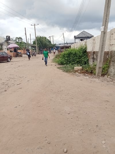The image shows a dirt road in Ovwian, Nigeria (latitude: 5.485, longitude: 5.806).  There is a woman in a green shirt walking on the road.  The road has visible tire tracks.  There are power lines running overhead.  There are buildings and vegetation on both sides of the road.  The sky is overcast.