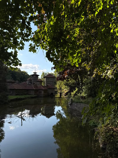 The image displays a tranquil outdoor scene centered on the Grand-Ducal Mill (Wal-Mill or Walsmillen) complex, located on a body of water in Groussbus-Wal, Luxembourg. In the midground, a series of historical stone buildings with red-tiled roofs and multiple towers, including one with a pointed spire and weathervane, are situated along the left bank of the water. A narrow, light-colored wooden bridge connects the main building structure to the opposite bank, spanning a section of the water. The calm water in the foreground and midground provides clear reflections of the buildings, overhead trees, and the bright blue sky. Scattered white clouds are visible in the upper central sky. The scene is heavily framed by dense green deciduous foliage, particularly in the upper and right portions of the image, with sunlight illuminating many leaves. Several dark, bare tree branches protrude from the water in the lower left quadrant. The right bank features a visible stone retaining wall partially overgrown with vegetation. No individuals or active subjects are present in the scene.