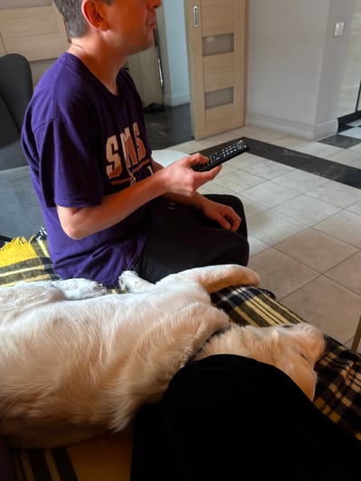 In an indoor setting, a person wearing a purple t-shirt is seated, holding a black remote control. A white dog is resting on a blanket next to the person. The floor is tiled in a checkered pattern of black and white. A wooden door with glass panels is visible in the background. The image appears to be taken in Ptichnoye, Russia.