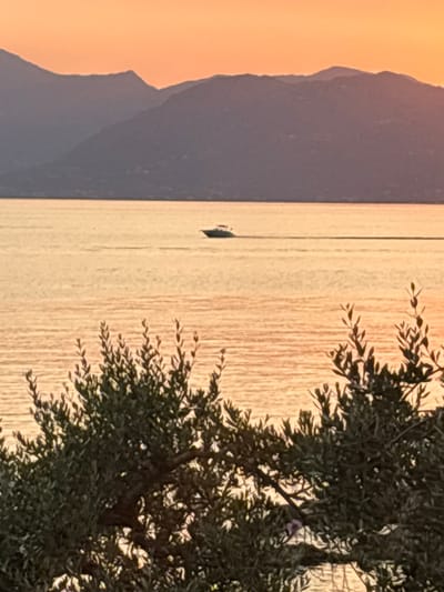The image captures a serene sunset scene over Lake Garda, Italy. In the foreground, the dark silhouettes of olive tree branches with their leaves create a natural frame. Beyond the foliage, the calm surface of Lake Garda reflects the warm, orange hues of the sunset, creating a shimmering effect. A small white motorboat is visible in the middle distance, gliding across the water and leaving a faint wake. In the background, the rounded, dusky outlines of mountains rise against the vibrant, gradient sky, transitioning from a pale yellow near the horizon to a soft orange at the top of the frame. The overall impression is one of tranquility and natural beauty during a picturesque twilight.