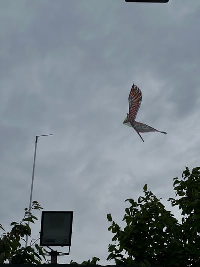 The image captures an outdoor scene in Velyki Hai, Ukraine, under a uniformly overcast, grey sky. A kite, designed in the likeness of a bird with prominent reddish-brown and dark feather patterns, is depicted flying in the middle-right section of the frame. Its body shows subtle green coloration. In the lower-left quadrant, a tall, slender, light-colored pole extends upwards, featuring a green cap and a short, dark horizontal projection at its apex. Below this pole, a black, rectangular floodlight is visible, mounted on a dark support structure. The floodlight displays the text "Violux" and "50W IP65" on its lower face. Dark green foliage is present at the bottom-left and bottom-right edges of the image, partially obscuring the base of the pole and the floodlight's mounting. A small, dark, rectangular object is marginally visible at the top-center edge of the frame.