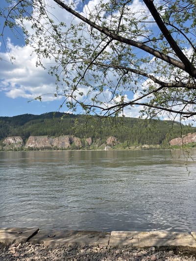 The image captures a landscape scene in Овсянка, Russia. A body of water, likely a river, dominates the right side of the frame, with visible ripples on its surface. Adjacent to the water is a concrete embankment reinforced with rocks. On the left side of the image, a forested hillside rises, displaying varied green hues indicating a diverse range of vegetation. A tree branch with budding leaves extends into the scene from the upper left corner, partially obscuring the sky. The sky features a mix of blue and white puffy clouds, suggesting fair weather. No people or animals are visible.