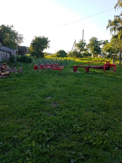 This media file depicts a rural scene in Belarus during what appears to be a clear, sunny day, likely late afternoon due to the warm, low-angle sunlight casting long shadows. The foreground is dominated by a well-maintained green lawn dotted with small white flowers and clover.

In the mid-ground, two agricultural implements are positioned on the grass. To the left is a bright red hay rake with multiple spinning wheels, suggesting it's a rotary rake. To the right is another red piece of farm equipment, a trailer or implement with a rectangular bed and what appears to be a wheel and lifting mechanism. Behind these implements, a pile of cut logs and a tree stump are visible, adding to the rustic atmosphere.

In the background, there are several structures and natural elements. A rustic wooden building with a corrugated roof, possibly a shed or small house, is on the far left. Further back, more trees and vegetation are present, including a line of tall trees along a gentle slope. In the distance, utility poles with wires stretch across the landscape, indicating the presence of infrastructure. The overall setting is that of a rural homestead or farm, likely in a village or countryside area. The scene is peaceful and evokes a sense of rural life. No people are visible in the frame, and there is no visible text.