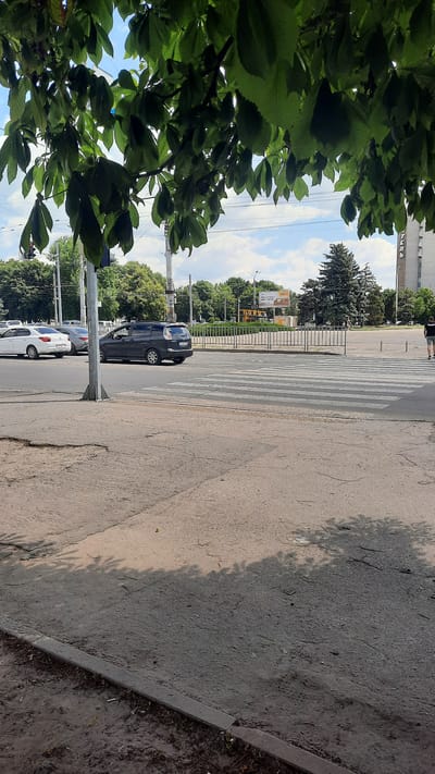 The image depicts a view from under a canopy of green leaves looking out onto a city street in Dnipro, Ukraine. In the foreground, a cracked concrete sidewalk transitions to a paved road with a crosswalk. A dark-colored minivan is crossing the street from left to right, with a white car and a gray car stopped behind it. A metal fence separates the road from a grassy area with trees and a tall building in the background. A billboard is visible behind the fence, advertising "TYT CENA P.I. NATACHKA." The sky is partly cloudy. A man in a dark t-shirt and shorts is walking on the far side of the street.