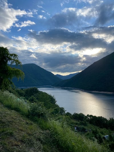 The image captures a majestic mountain lake landscape, characteristic of a location like Plužine, Montenegro. Although presented vertically, the scene depicts a vast natural panorama with a dramatic sky, towering mountains, a shimmering body of water, and lush foreground vegetation.
The upper portion of the scene is dominated by a dynamic sky, featuring a blend of bright blue patches and large, textured grey and white clouds. Strong sunlight penetrates the cloud cover, creating brilliant highlights and rays of light that illuminate the cloud edges.
To the left, a steep, dark green mountain range rises prominently, its slopes appearing densely forested. Another, lighter-toned mountain peak is visible further in the background, adding depth to the mountainous terrain.
The right side of the image features an expansive body of water, likely a lake or reservoir, which reflects the intense sunlight. This reflection forms a bright, shimmering path across the water's surface, indicating the sun's position. The water appears calm, with subtle ripples visible.
The foreground and bottom-right of the image are filled with rich green vegetation, including tall grasses, various bushes, and trees. A cluster of pine-like trees is visible in the bottom-left, helping to frame the natural view. The overall impression is one of untouched wilderness.
The time of day appears to be late afternoon or early evening, given the strong, direct sunlight on the water and the mix of bright and shadowed areas across the landscape. The scene evokes a sense of grandeur and peaceful tranquility. There is no visible human activity, objects, or text within the frame, emphasizing the natural beauty of the setting.