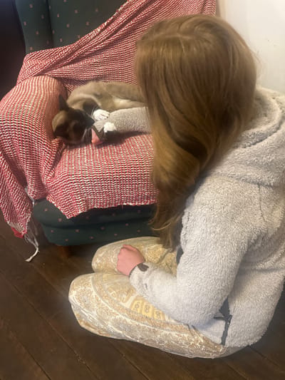 The image shows a young person sitting on the floor next to a chair in what appears to be a residential setting. The person has long, auburn hair and is wearing a light gray, fuzzy hooded jacket and light-colored patterned pants. They are looking away from the camera, towards a chair.

On the chair, a Siamese cat is lying down, seemingly asleep, with its head resting on a grey plush toy. The chair is covered with a red and white patterned throw blanket. The floor is made of dark wood planks. The background shows a dark green chair with a subtle pattern. The lighting suggests an indoor environment, possibly during the day.

There is no indication in the image that it is located in Thora, Australia.