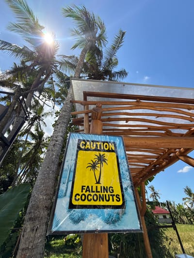 The image depicts a "Caution Falling Coconuts" sign attached to a wooden structure, possibly a shelter or roof, in an outdoor setting. The sign is bright yellow with black text and a graphic of two palm trees. The background features palm trees, a clear blue sky, and a glimpse of a building with a red roof. The location, according to the prompt, is Gubug, Indonesia. There are no people visible in the frame. The overall scene suggests a tropical location where coconuts falling from trees pose a potential hazard. The sign is still wrapped in plastic. The sun is shining brightly, casting a glare on the leaves of the trees.