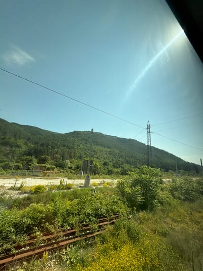 The image captures a bright, sunlit day with a clear blue sky, viewed from what appears to be a moving vehicle, likely a train, indicated by the railway tracks in the foreground. The landscape is dominated by a lush, green, forested mountain that rises in the background. A single, tall electrical pylon stands prominently on the right side of the frame, with power lines stretching across the sky.

In the midground, there's an area of what looks like overgrown, abandoned railway infrastructure, with rusty tracks partially consumed by dense vegetation. Scattered yellow wildflowers bloom amidst the greenery, adding a touch of color. The environment suggests a rural or semi-rural setting, possibly on the outskirts of a town.

While the image does not directly show the city of Belovo, Bulgaria, it depicts a scene consistent with the surrounding natural landscape. The presence of mountains, forests, and railway lines is characteristic of the region. The image is a snapshot of this environment on a clear day, devoid of any human activity or specific landmarks that would pinpoint its exact location within Belovo. The sun's glare creates a bright, lens flare effect across the upper right portion of the image, suggesting a high sun angle.